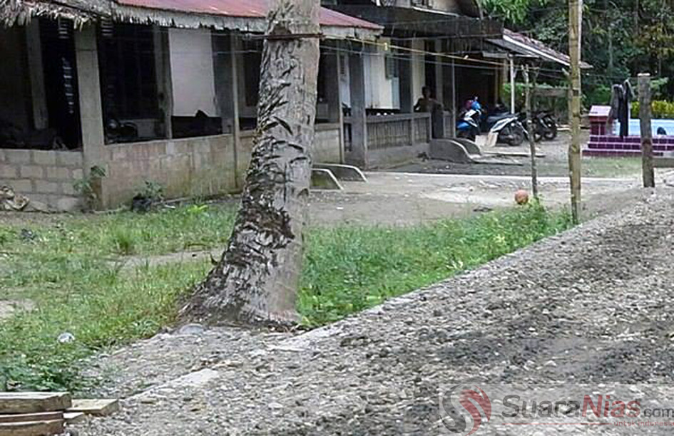 Sejak menjadi darah otonomi pada tahun 2009, masyarakat Desa Fadoro kecamatan Sirombu belum tersentuh jaringan listrik/Foto: Hasan Hia