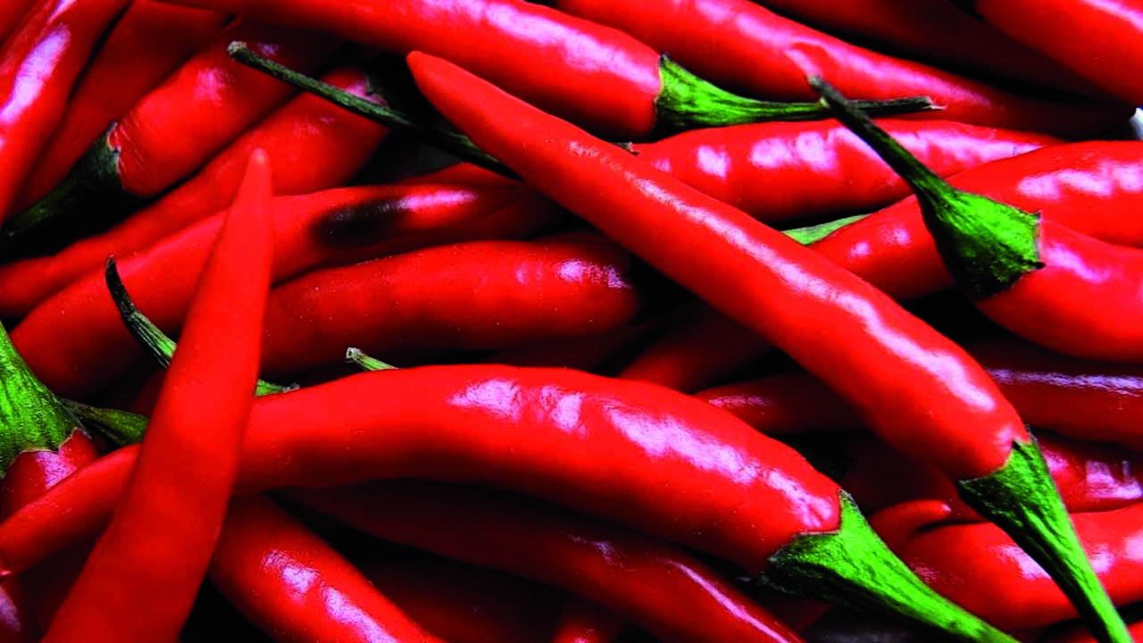Ilustrasi cabai merah (Foto: Dok. SuaraNusantara)
